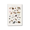 Picture of Animal Alphabet _GroupedProduct_Rectangle_Portrait_Canvas_