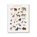 Picture of Animal Alphabet _GroupedProduct_Rectangle_Portrait_Canvas_