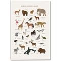 Picture of Animal Alphabet _GroupedProduct_Rectangle_Portrait_Canvas_