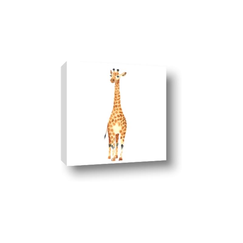 Picture of Standing Tall Giraffe _GroupedProduct_Square_Mini_ _GroupedProduct_Square_Canvas_