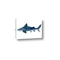 Picture of Shark Attack II  _GroupedProduct_Rectangle_Landscape_Mini_ _GroupedProduct_Rectangle_Landscape_Canvas_
