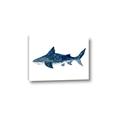 Picture of Shark Attack II  _GroupedProduct_Rectangle_Landscape_Mini_ _GroupedProduct_Rectangle_Landscape_Canvas_
