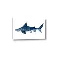 Picture of Shark Attack II  _GroupedProduct_Rectangle_Landscape_Mini_ _GroupedProduct_Rectangle_Landscape_Canvas_