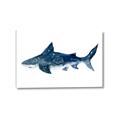 Picture of Shark Attack II  _GroupedProduct_Rectangle_Landscape_Mini_ _GroupedProduct_Rectangle_Landscape_Canvas_
