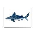 Picture of Shark Attack II  _GroupedProduct_Rectangle_Landscape_Mini_ _GroupedProduct_Rectangle_Landscape_Canvas_