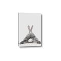 Picture of Bunny Bum  _GroupedProduct_Rectangle_Portrait_Mini_ _GroupedProduct_Rectangle_Portrait_Canvas_