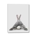 Picture of Bunny Bum  _GroupedProduct_Rectangle_Portrait_Mini_ _GroupedProduct_Rectangle_Portrait_Canvas_