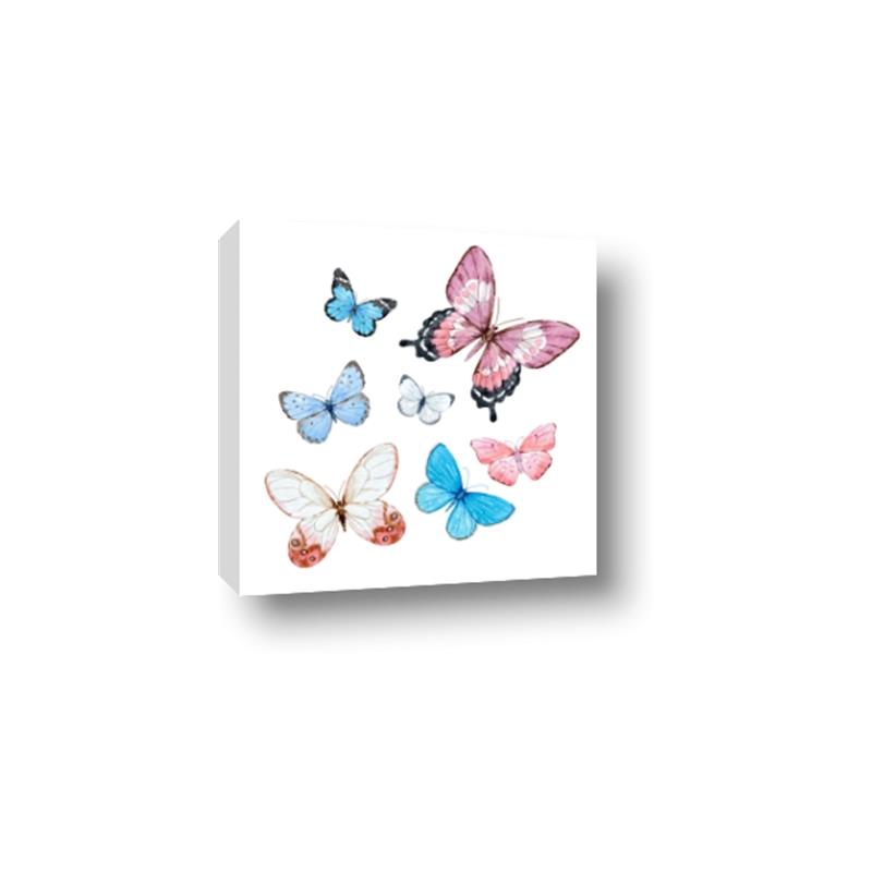 Picture of Fly Along _GroupedProduct_Square_Mini_ _GroupedProduct_Square_Canvas_
