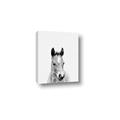 Picture of Cute Little Foal  _GroupedProduct_Rectangle_Portrait_Mini_ _GroupedProduct_Rectangle_Portrait_Canvas_