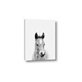 Picture of Cute Little Foal  _GroupedProduct_Rectangle_Portrait_Mini_ _GroupedProduct_Rectangle_Portrait_Canvas_