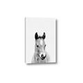 Picture of Cute Little Foal  _GroupedProduct_Rectangle_Portrait_Mini_ _GroupedProduct_Rectangle_Portrait_Canvas_