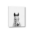 Picture of Cute Little Foal  _GroupedProduct_Rectangle_Portrait_Mini_ _GroupedProduct_Rectangle_Portrait_Canvas_