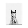 Picture of Cute Little Foal  _GroupedProduct_Rectangle_Portrait_Mini_ _GroupedProduct_Rectangle_Portrait_Canvas_
