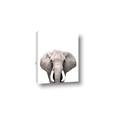 Picture of Safari Elephant _GroupedProduct_Rectangle_Portrait_Mini_ _GroupedProduct_Rectangle_Portrait_Canvas_
