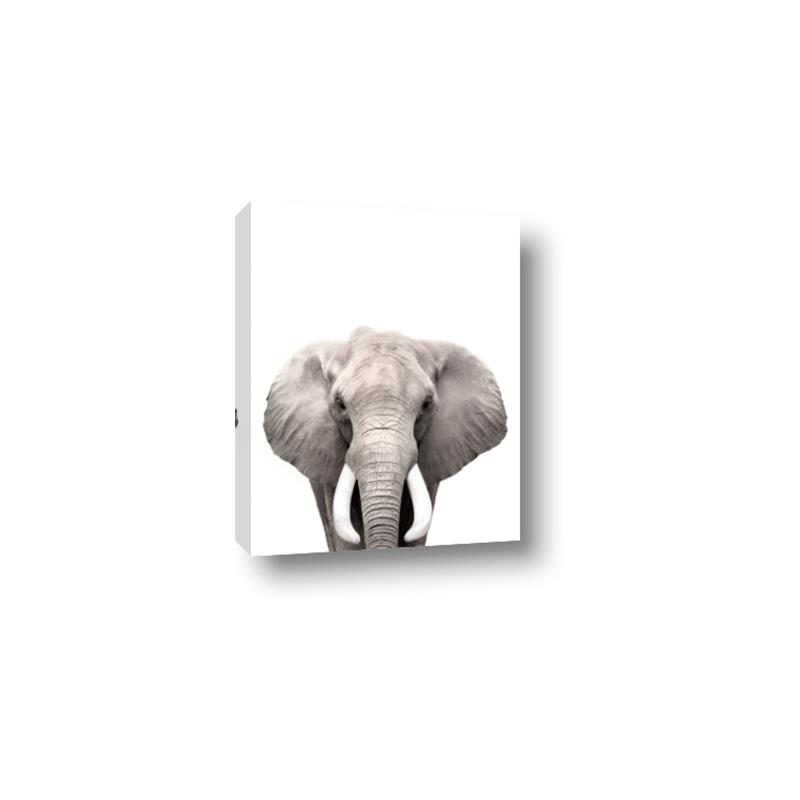 Picture of Safari Elephant _GroupedProduct_Rectangle_Portrait_Mini_ _GroupedProduct_Rectangle_Portrait_Canvas_