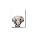 Picture of Safari Elephant _GroupedProduct_Rectangle_Portrait_Mini_ _GroupedProduct_Rectangle_Portrait_Canvas_