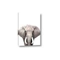 Picture of Safari Elephant _GroupedProduct_Rectangle_Portrait_Mini_ _GroupedProduct_Rectangle_Portrait_Canvas_