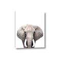Picture of Safari Elephant _GroupedProduct_Rectangle_Portrait_Mini_ _GroupedProduct_Rectangle_Portrait_Canvas_