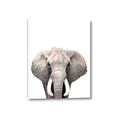 Picture of Safari Elephant _GroupedProduct_Rectangle_Portrait_Mini_ _GroupedProduct_Rectangle_Portrait_Canvas_