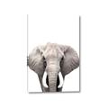 Picture of Safari Elephant _GroupedProduct_Rectangle_Portrait_Mini_ _GroupedProduct_Rectangle_Portrait_Canvas_