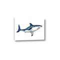 Picture of Shark Attack I   _GroupedProduct_Rectangle_Landscape_Mini_ _GroupedProduct_Rectangle_Landscape_Canvas_