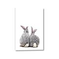 Picture of Bunny Tail  _GroupedProduct_Rectangle_Portrait_Mini_ _GroupedProduct_Rectangle_Portrait_Canvas_