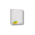 Picture of Toy Triceratops _GroupedProduct_Rectangle_Portrait_Mini_ _GroupedProduct_Rectangle_Portrait_Canvas_