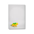 Picture of Toy Triceratops _GroupedProduct_Rectangle_Portrait_Mini_ _GroupedProduct_Rectangle_Portrait_Canvas_