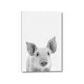 Picture of Farmhouse Pig _GroupedProduct_Rectangle_Portrait_Mini_ _GroupedProduct_Rectangle_Portrait_Canvas_