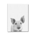 Picture of Farmhouse Pig _GroupedProduct_Rectangle_Portrait_Mini_ _GroupedProduct_Rectangle_Portrait_Canvas_