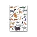 Picture of Animals of the World Alphabet      _GroupedProduct_Rectangle_Portrait_Canvas_