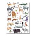 Picture of Animals of the World Alphabet      _GroupedProduct_Rectangle_Portrait_Canvas_