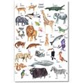 Picture of Animals of the World Alphabet      _GroupedProduct_Rectangle_Portrait_Canvas_