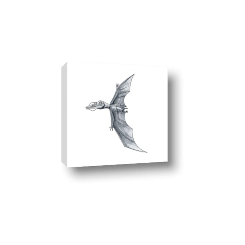 Picture of Gray Dino IX _GroupedProduct_Square_Mini_ _GroupedProduct_Square_Canvas_