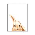 Picture of Pop up bunny _GroupedProduct_Rectangle_Portrait_Mini_ _GroupedProduct_Rectangle_Portrait_Canvas_Framed_