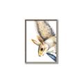 Picture of Flying Squirrel _GroupedProduct_Rectangle_Portrait_Mini_ _GroupedProduct_Rectangle_Portrait_Canvas_Framed_