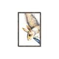 Picture of Flying Squirrel _GroupedProduct_Rectangle_Portrait_Mini_ _GroupedProduct_Rectangle_Portrait_Canvas_Framed_