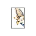 Picture of Flying Squirrel _GroupedProduct_Rectangle_Portrait_Mini_ _GroupedProduct_Rectangle_Portrait_Canvas_Framed_