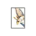 Picture of Flying Squirrel _GroupedProduct_Rectangle_Portrait_Mini_ _GroupedProduct_Rectangle_Portrait_Canvas_Framed_
