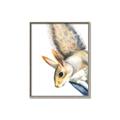 Picture of Flying Squirrel _GroupedProduct_Rectangle_Portrait_Mini_ _GroupedProduct_Rectangle_Portrait_Canvas_Framed_