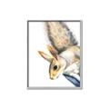 Picture of Flying Squirrel _GroupedProduct_Rectangle_Portrait_Mini_ _GroupedProduct_Rectangle_Portrait_Canvas_Framed_