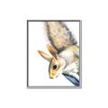 Picture of Flying Squirrel _GroupedProduct_Rectangle_Portrait_Mini_ _GroupedProduct_Rectangle_Portrait_Canvas_Framed_
