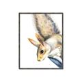 Picture of Flying Squirrel _GroupedProduct_Rectangle_Portrait_Mini_ _GroupedProduct_Rectangle_Portrait_Canvas_Framed_
