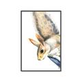 Picture of Flying Squirrel _GroupedProduct_Rectangle_Portrait_Mini_ _GroupedProduct_Rectangle_Portrait_Canvas_Framed_