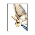 Picture of Flying Squirrel _GroupedProduct_Rectangle_Portrait_Mini_ _GroupedProduct_Rectangle_Portrait_Canvas_Framed_