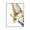 Picture of Flying Squirrel _GroupedProduct_Rectangle_Portrait_Mini_ _GroupedProduct_Rectangle_Portrait_Canvas_Framed_