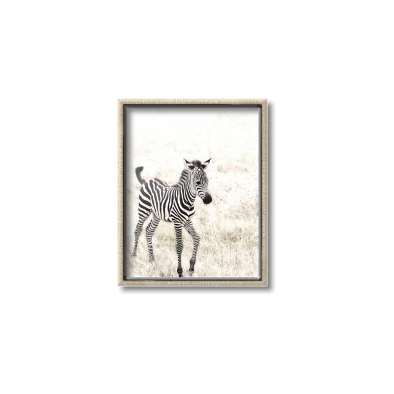 Picture of Summer Zebra _GroupedProduct_Rectangle_Portrait_Mini_ _GroupedProduct_Rectangle_Portrait_Canvas_Framed_