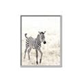 Picture of Summer Zebra _GroupedProduct_Rectangle_Portrait_Mini_ _GroupedProduct_Rectangle_Portrait_Canvas_Framed_