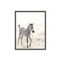 Picture of Summer Zebra _GroupedProduct_Rectangle_Portrait_Mini_ _GroupedProduct_Rectangle_Portrait_Canvas_Framed_