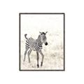 Picture of Summer Zebra _GroupedProduct_Rectangle_Portrait_Mini_ _GroupedProduct_Rectangle_Portrait_Canvas_Framed_